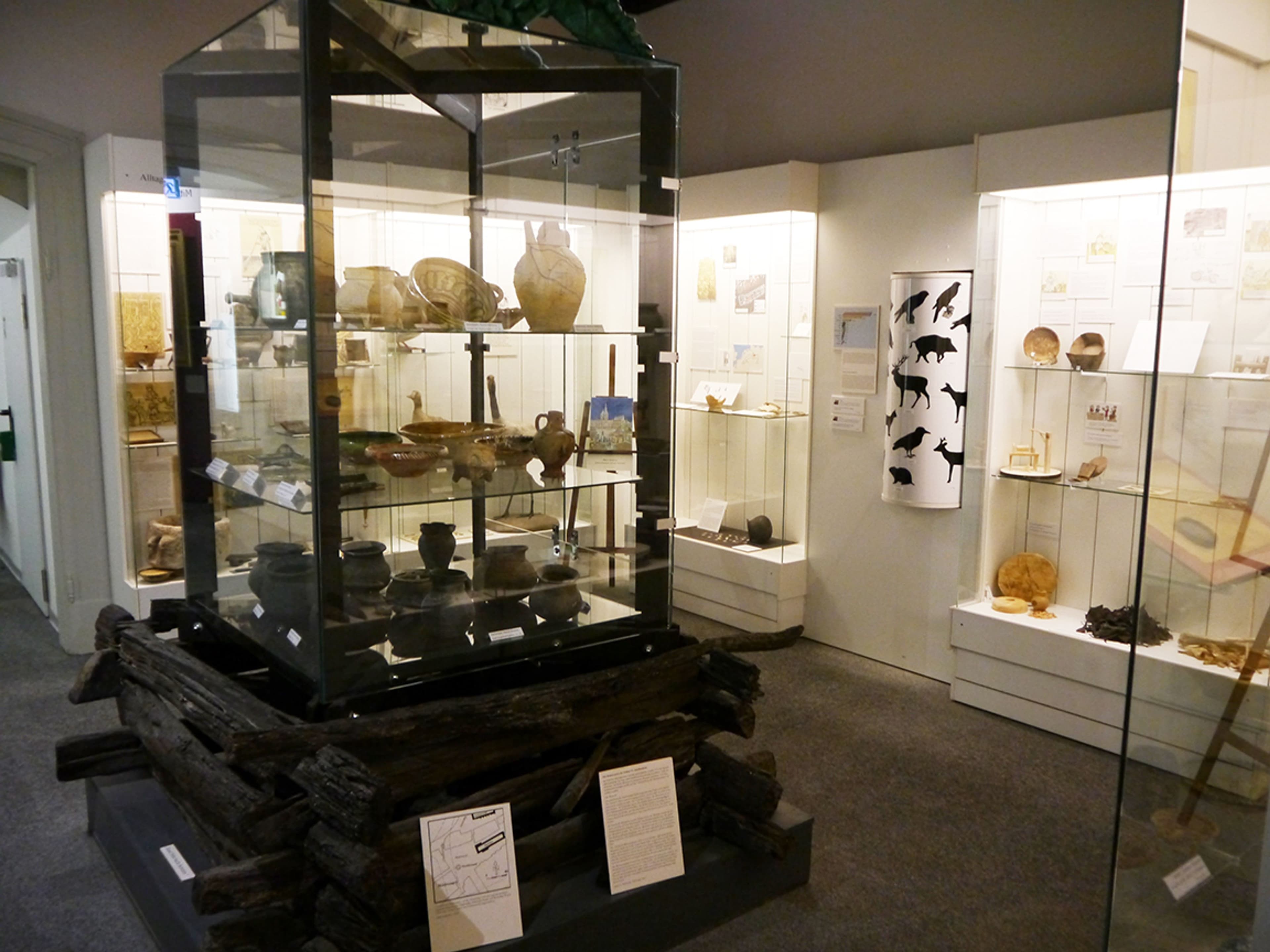 Archäologische Entdeckungen: Führung im Städtischen Museum Halberstadt