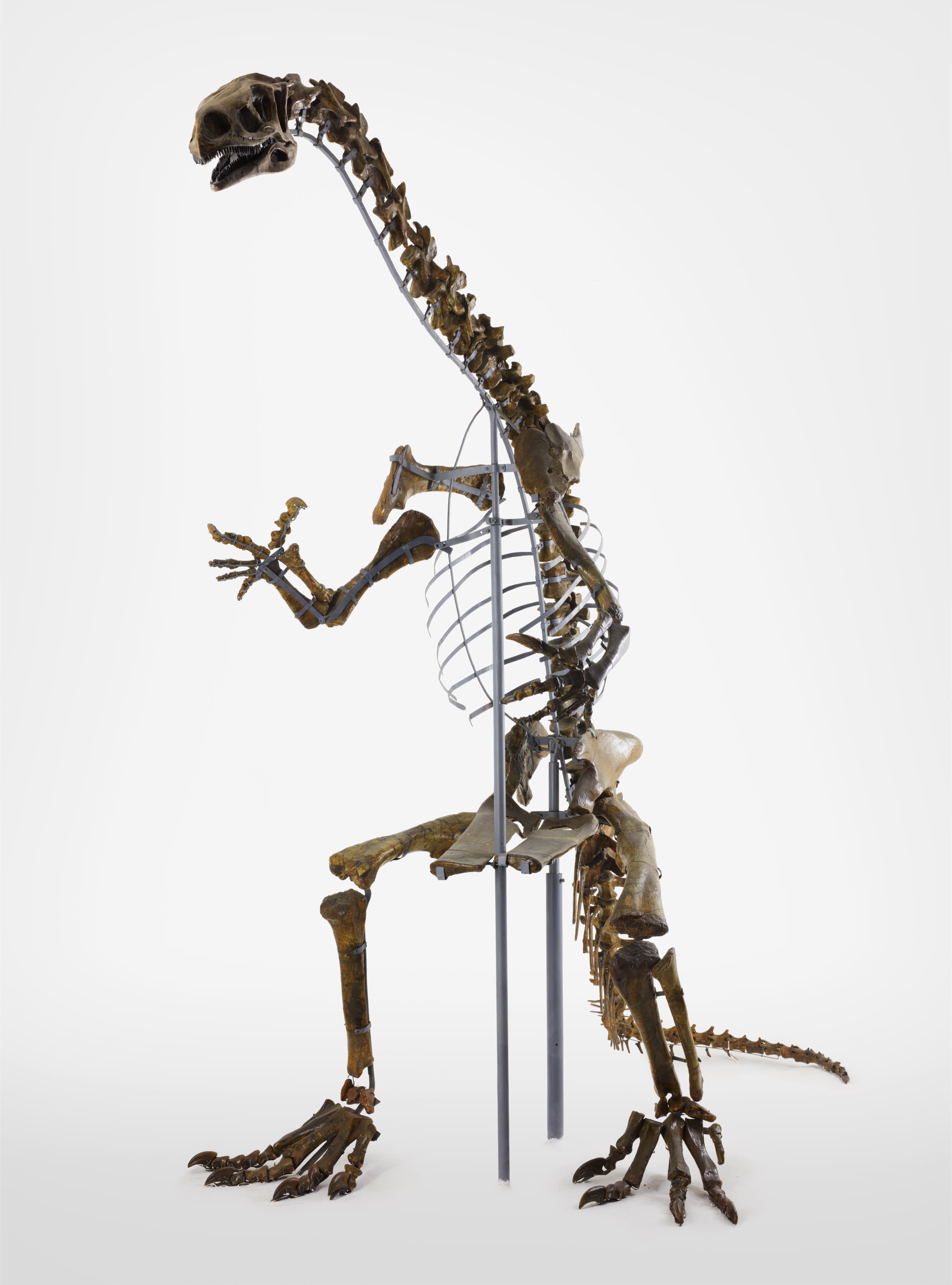 Halberstädter Museumsfreitag mit drei Museen und kostenfreiem Besuch