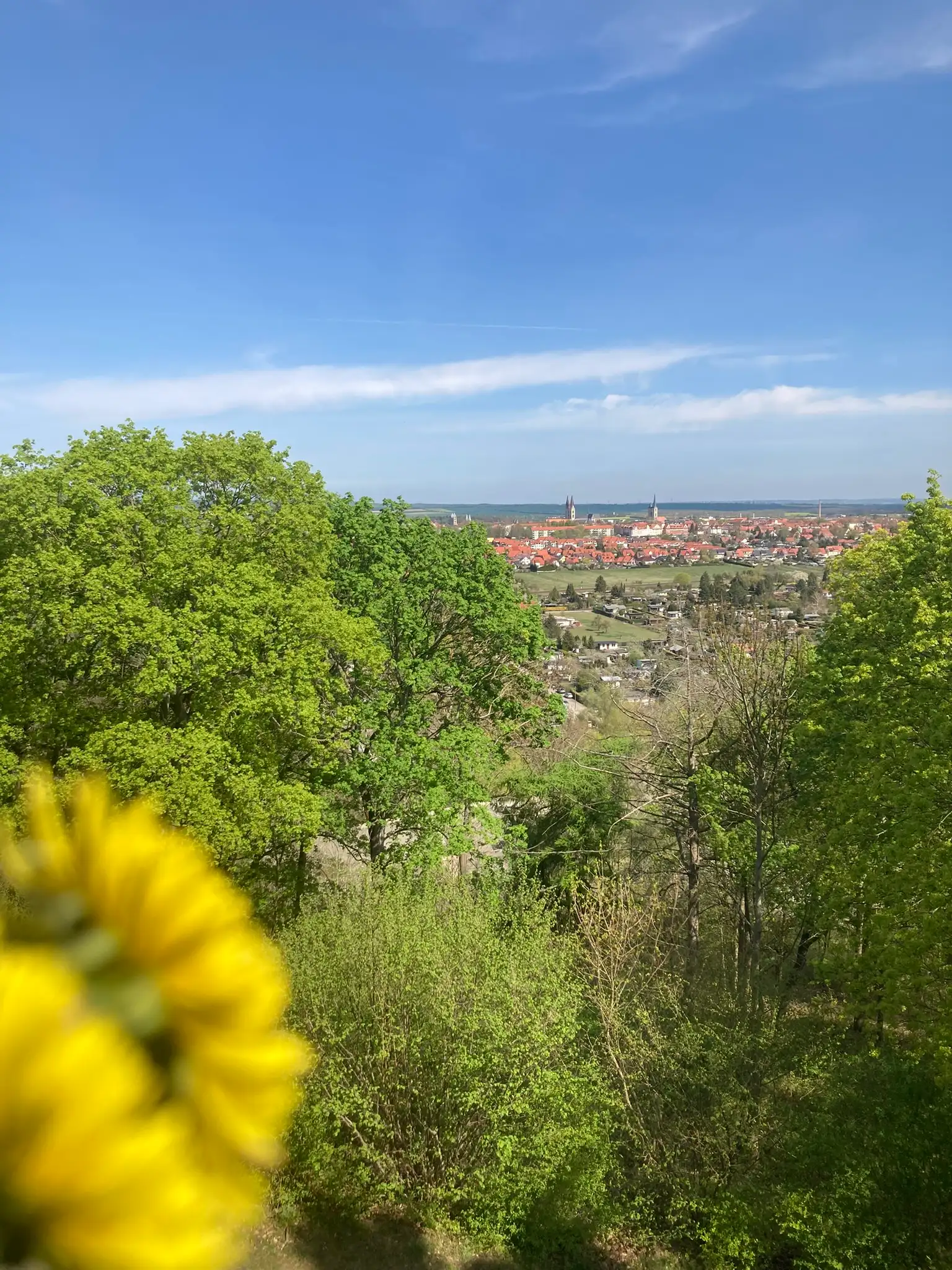 Stadtpanorama Spiegelsberge (